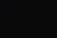 Premiere Performance of Jumping the Broom 2006